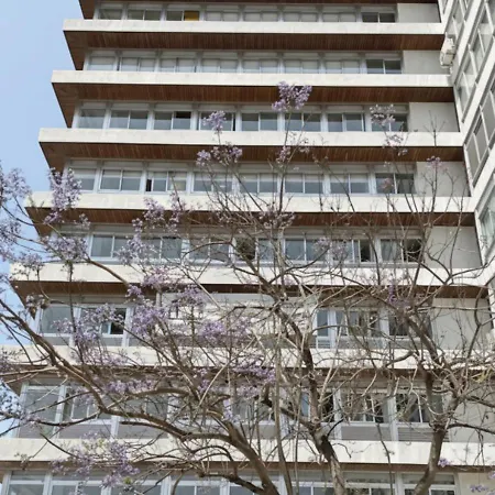 公寓式酒店 Lsa Alvalade By Numa 3*